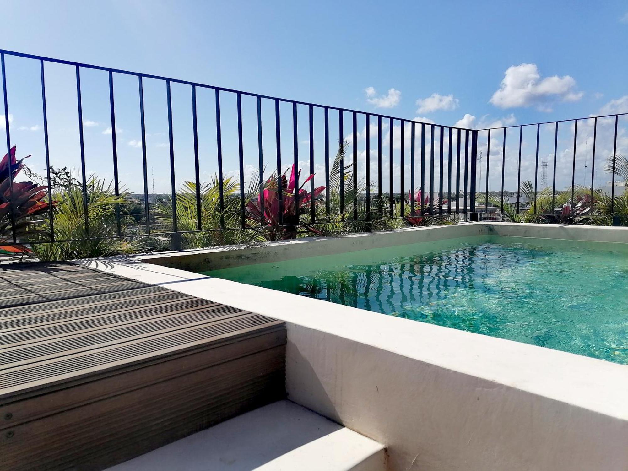Appartement Bright & Centric With Rooftop Pool In Downtown