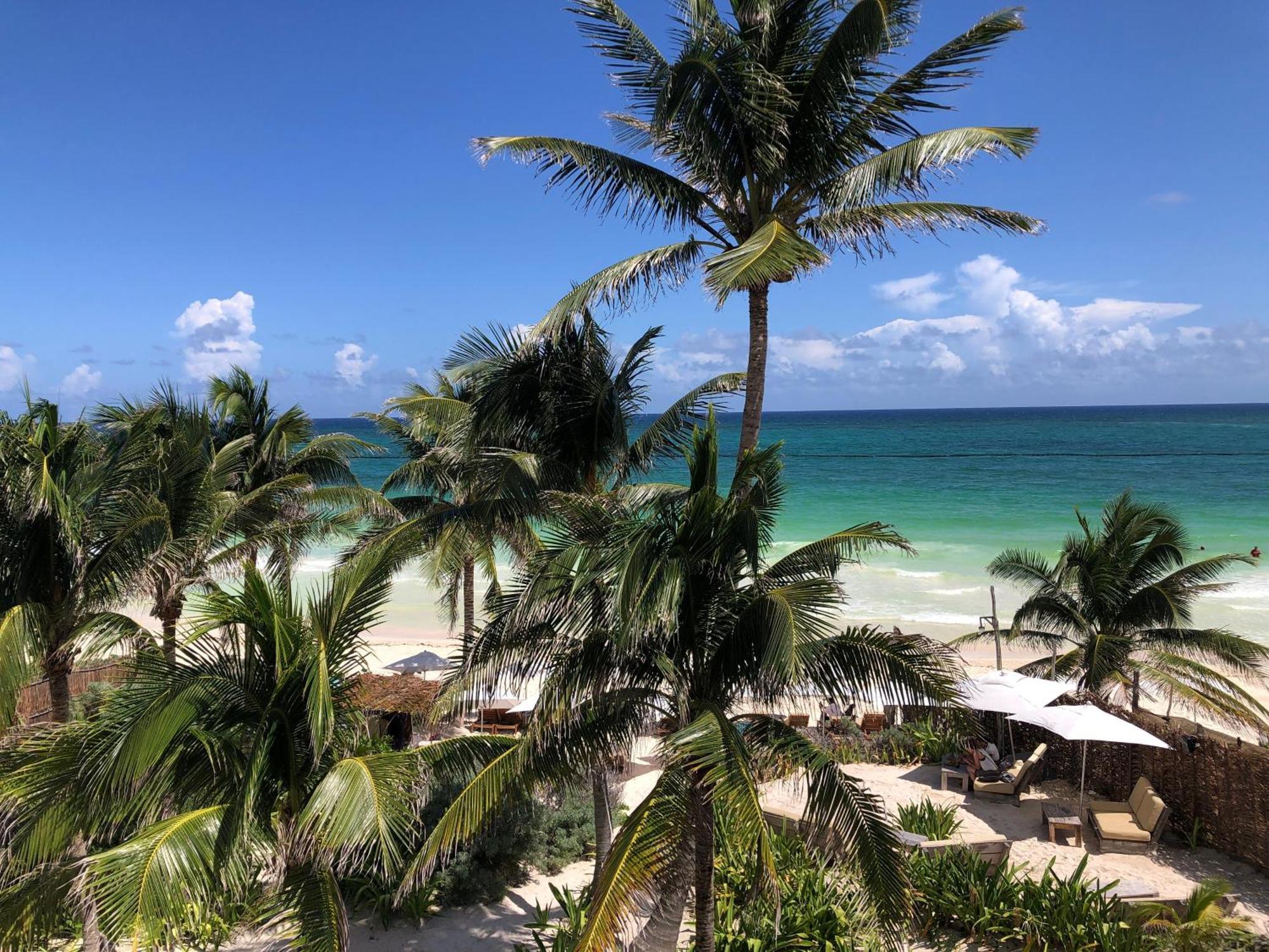 Bright & Centric With Rooftop Pool In Downtown Appartement Tulum